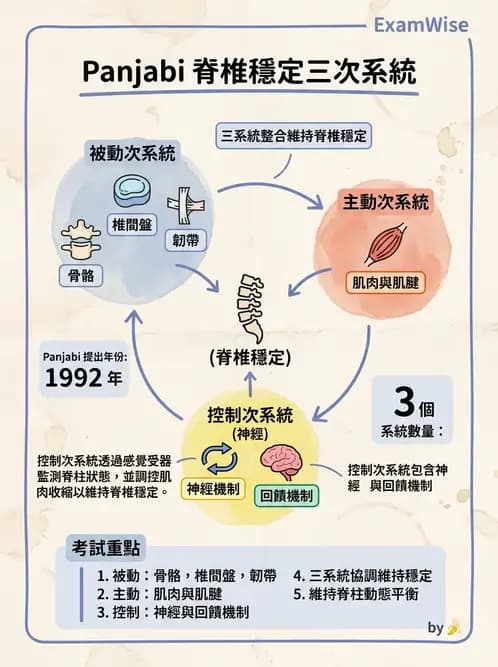 物治 - 頸椎評估與病理 - AI 圖文解析預覽