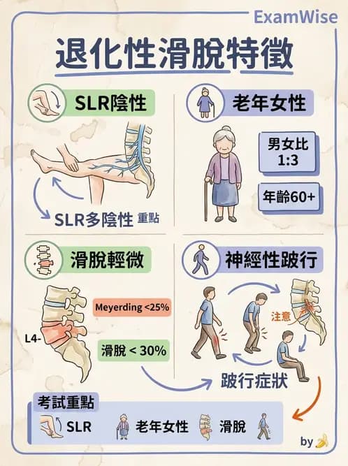 物治 - 腰椎椎間盤與脊椎狹窄 - AI 圖文解析預覽