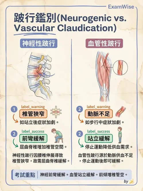 物治 - 腰椎椎間盤與脊椎狹窄 - AI 圖文解析預覽