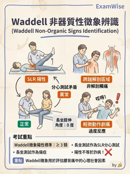 物治 - 初級照護與鑑別診斷 - AI 圖文解析預覽