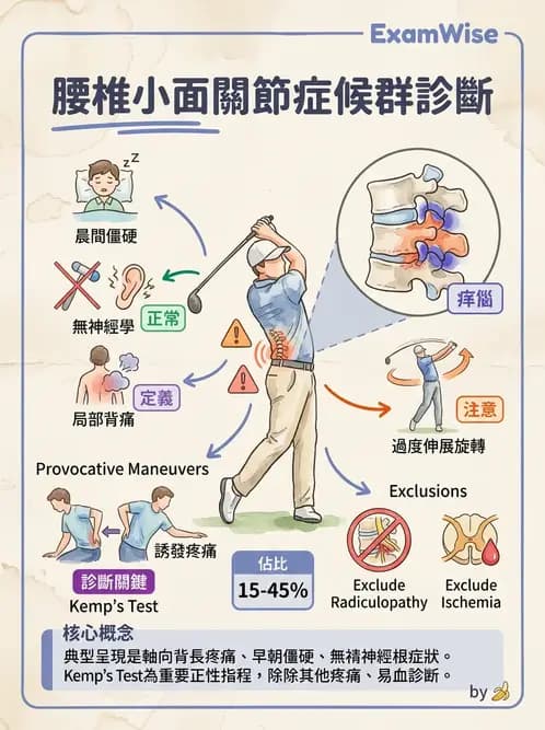 物治 - 腰椎穩定訓練與治療原則 - AI 圖文解析預覽