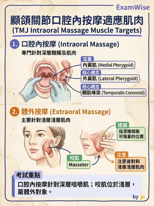 物治 - 顳頷關節 - AI 圖文解析預覽