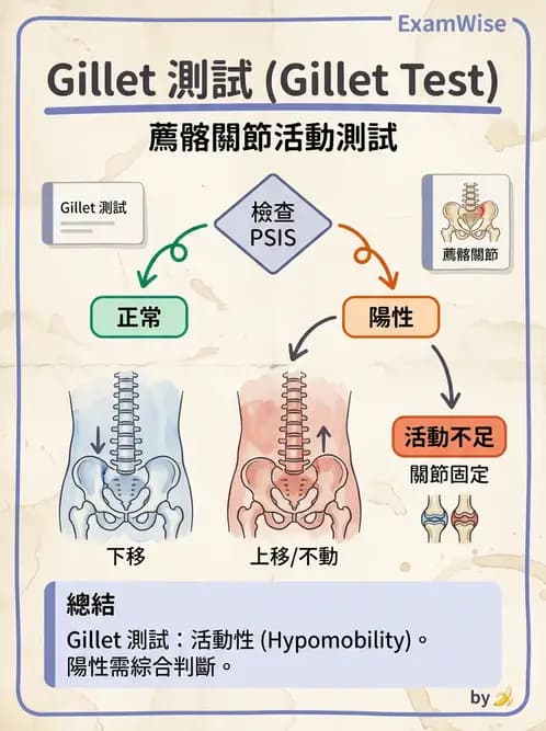 物治 - 薦髂關節評估與治療 - AI 圖文解析預覽