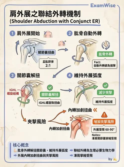 物治 - 肩胛生物力學與神經損傷 - AI 圖文解析預覽