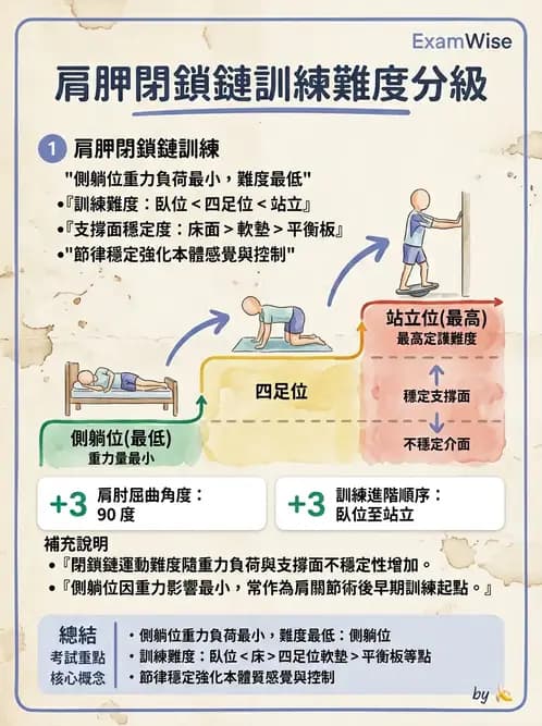 物治 - 肩胛生物力學與神經損傷 - AI 圖文解析預覽