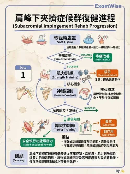 物治 - 肩關節夾擠與旋轉肌袖 - AI 圖文解析預覽