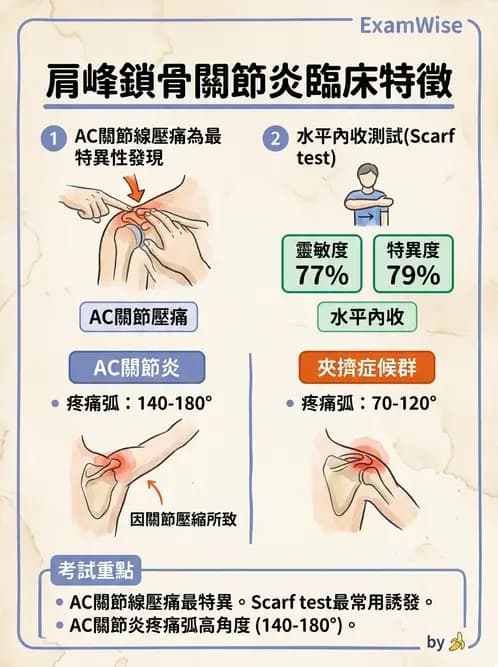 物治 - 肩胛生物力學與神經損傷 - AI 圖文解析預覽