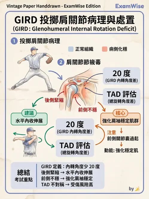 物治 - 冰凍肩與胸廓出口症候群 - AI 圖文解析預覽