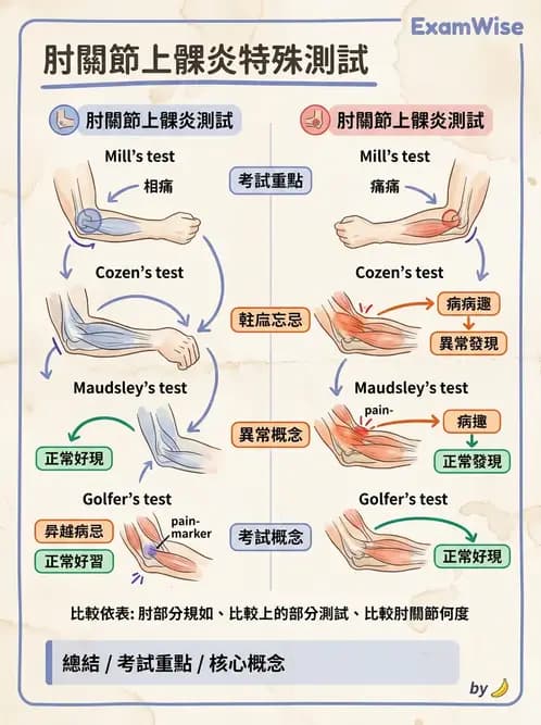 物治 - 肘及前臂關節 - AI 圖文解析預覽