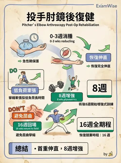 物治 - 肘及前臂關節 - AI 圖文解析預覽