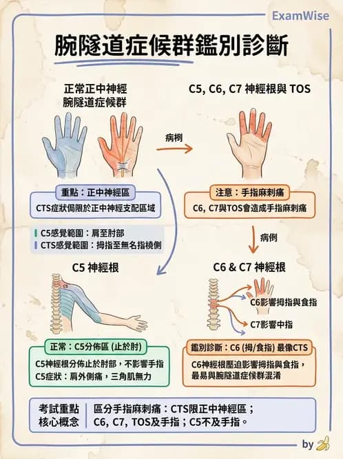 物治 - 腕關節疾病 - AI 圖文解析預覽