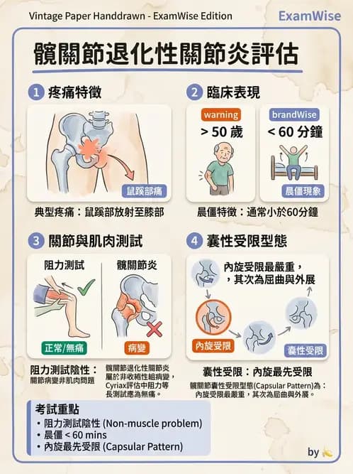 物治 - 髖關節病變與手術復健 - AI 圖文解析預覽