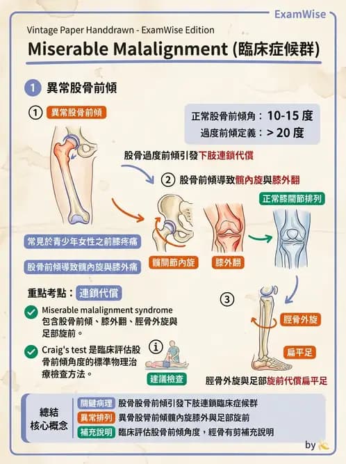 物治 - 髕股關節疼痛與伸展機制 - AI 圖文解析預覽