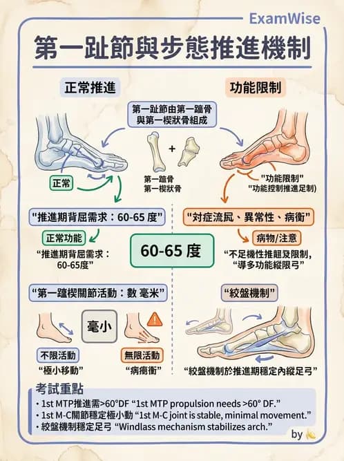物治 - 足部病變與輔具評估 - AI 圖文解析預覽