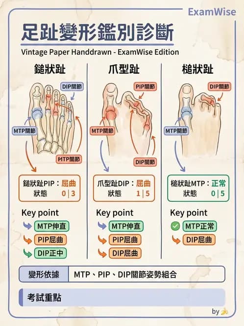 物治 - 足部病變與輔具評估 - AI 圖文解析預覽