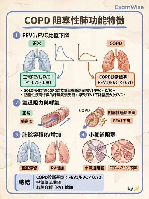 物治 - 肺功能測試與血氣體分析 - AI 圖文解析預覽