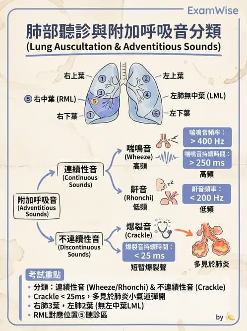 物治 - 呼吸臨床評估技術 - AI 圖文解析預覽