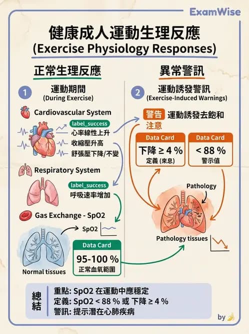 物治 - 運動生理學與能量代謝 - AI 圖文解析預覽