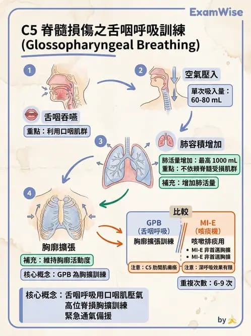 物治 - 氣道廓清與呼吸訓練技術 - AI 圖文解析預覽