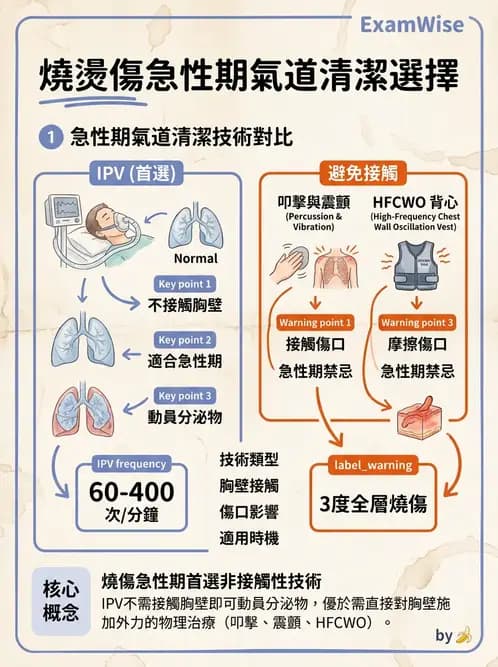 物治 - 氣道廓清與呼吸訓練技術 - AI 圖文解析預覽