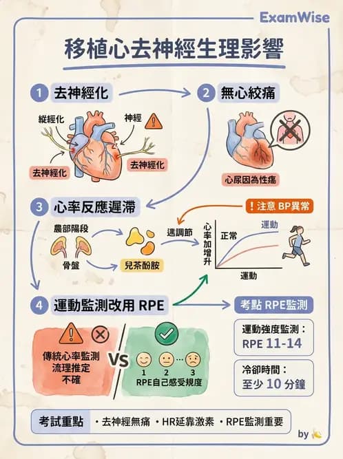 物治 - 心臟復健與運動處方 - AI 圖文解析預覽