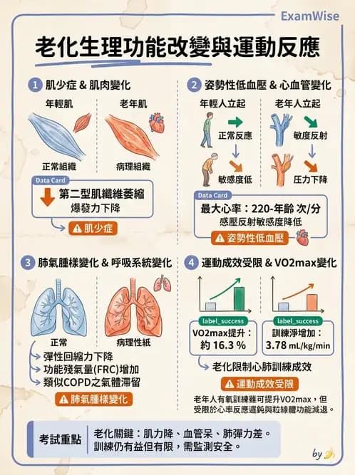 物治 - 特殊族群運動處方與健康促進 - AI 圖文解析預覽