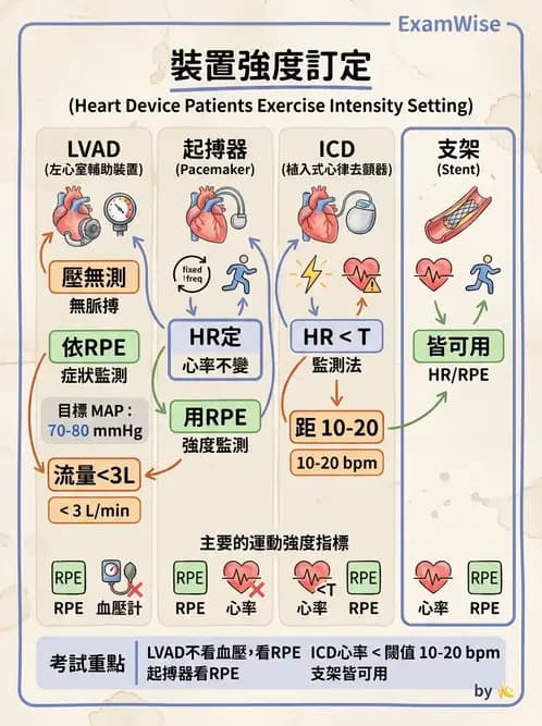 物治 - 心臟藥物、輔助裝置與周邊血管 - AI 圖文解析預覽