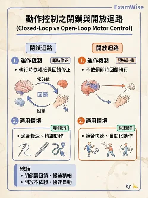 物治 - 小兒物理治療基礎與原理 - AI 圖文解析預覽