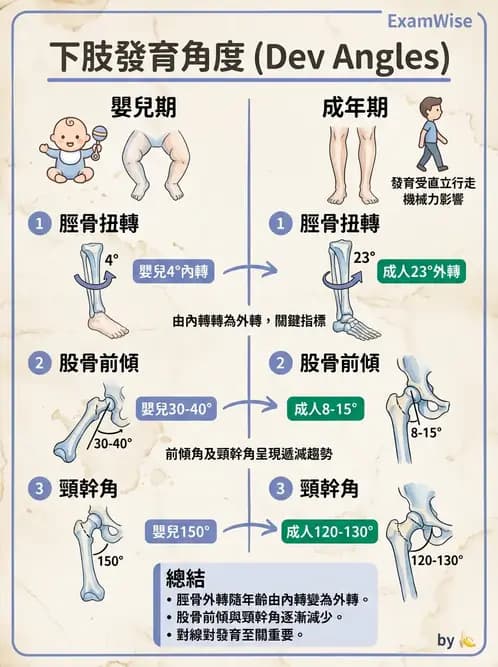 物治 - 兒童發展里程碑(動作與認知) - AI 圖文解析預覽