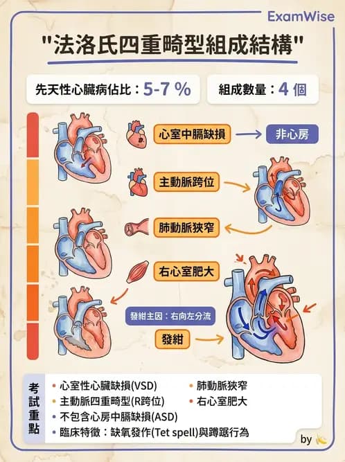 物治 - 小兒心臟、癌症與外傷物理治療 - AI 圖文解析預覽