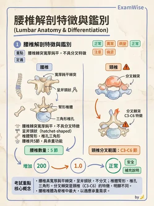 物治 - 骨骼與關節解剖 - AI 圖文解析預覽