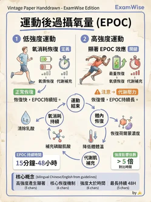 物治 - 能量代謝與運動適應 - AI 圖文解析預覽