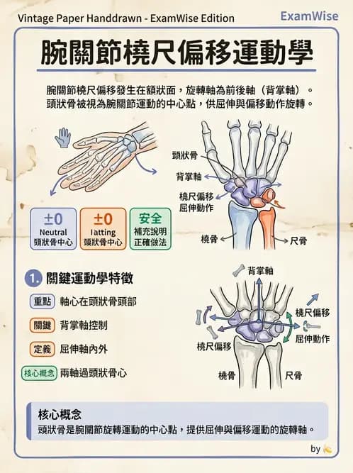 物治 - 腕關節生物力學 - AI 圖文解析預覽