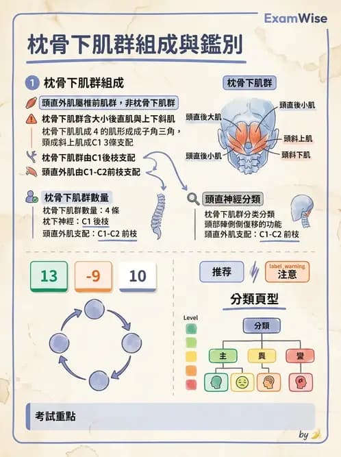 物治 - 頸椎肌動學與生物力學 - AI 圖文解析預覽