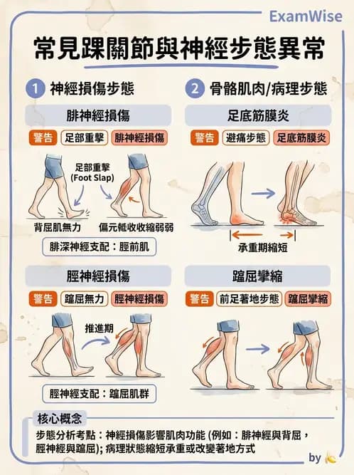 物治 - 異常步態與姿勢分析 - AI 圖文解析預覽