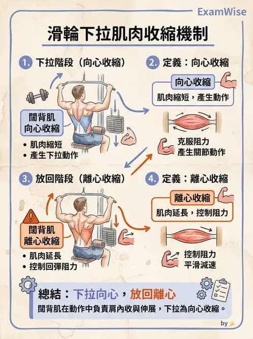 物治 - 競技運動與肌力訓練動作分析 - AI 圖文解析預覽