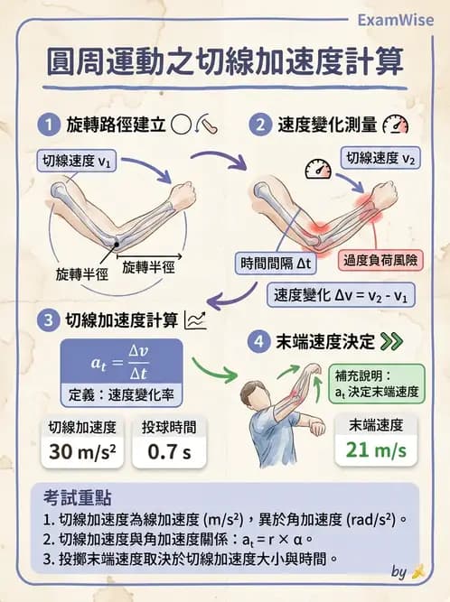 物治 - 關節運動學與生物力學計算 - AI 圖文解析預覽