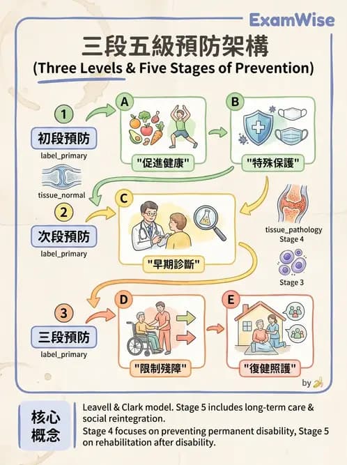 物治 - 健康政策與衛生行政 - AI 圖文解析預覽