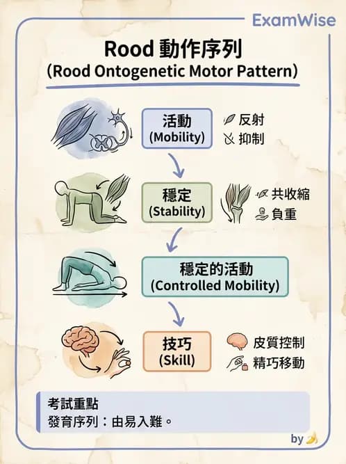 物治 - 脊髓與周邊神經疾病 - AI 圖文解析預覽