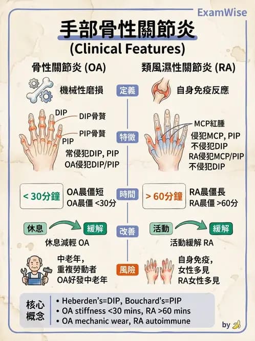 物治 - 骨科與外科疾病 - AI 圖文解析預覽