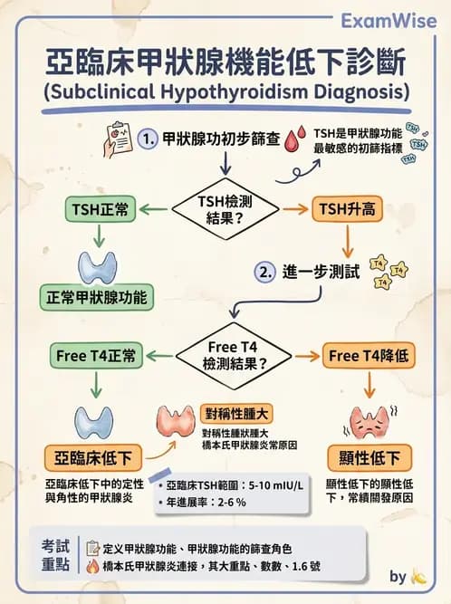 物治 - 內科疾病概論 - AI 圖文解析預覽