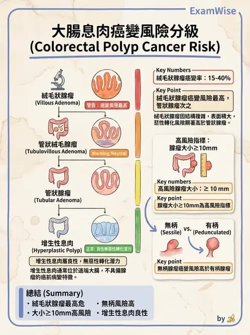 物治 - 腫瘤與其他臨床醫學 - AI 圖文解析預覽