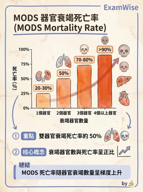 物治 - 內科疾病概論 - AI 圖文解析預覽