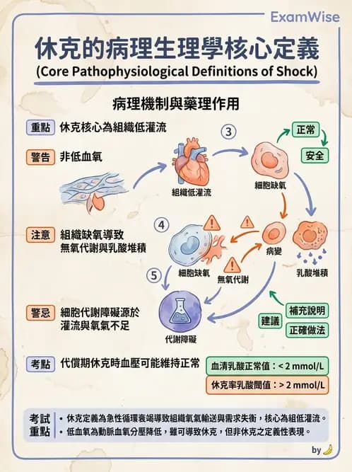 物治 - 內科疾病概論 - AI 圖文解析預覽