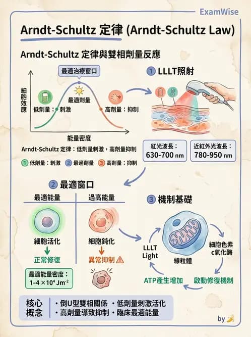 物治 - 低能量雷射 - AI 圖文解析預覽
