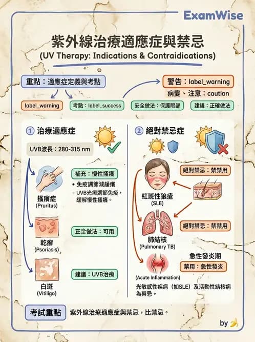 物治 - 紫外光 - AI 圖文解析預覽
