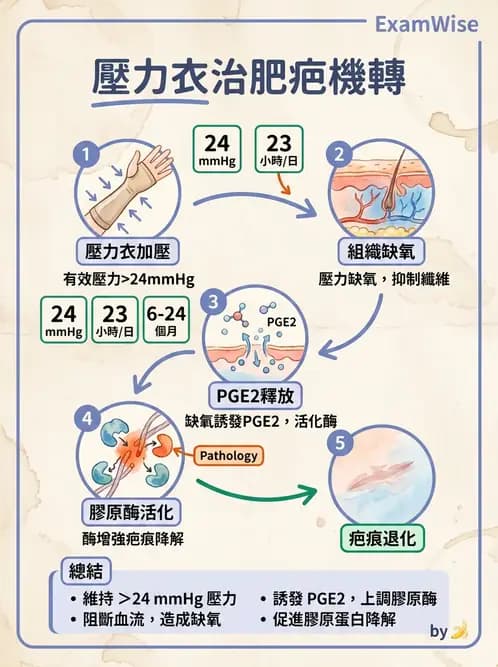 物治 - 力學因子 - AI 圖文解析預覽