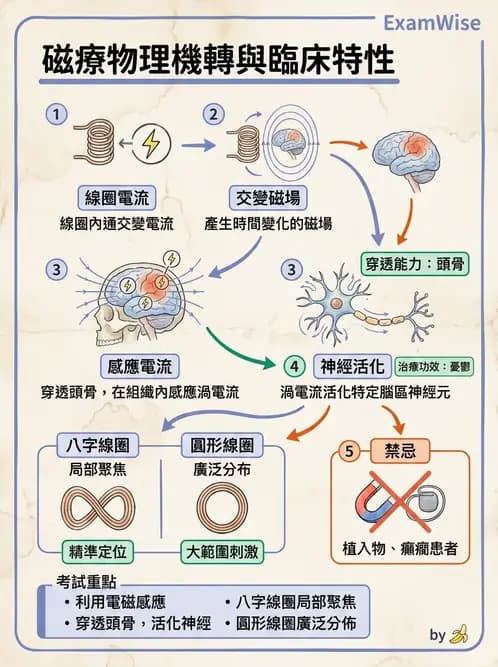 物治 - 物理因子特殊應用 - AI 圖文解析預覽