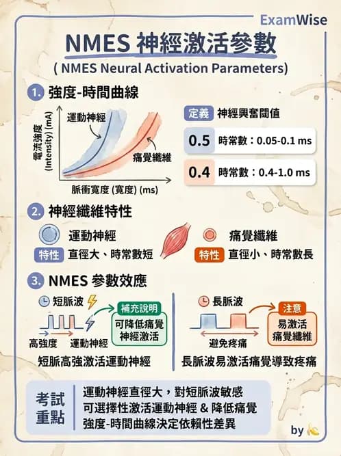 物治 - 神經肌肉電刺激 - AI 圖文解析預覽