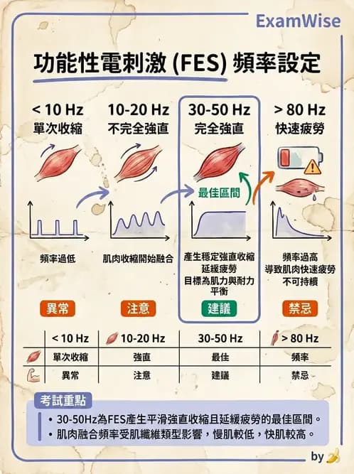 物治 - 功能性電刺激 - AI 圖文解析預覽